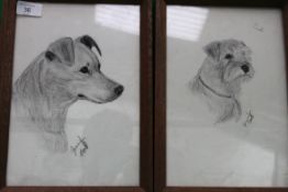 Two pencil scetches of dogs by Jennifer