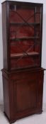 A Victorian mahogany thin library bookca