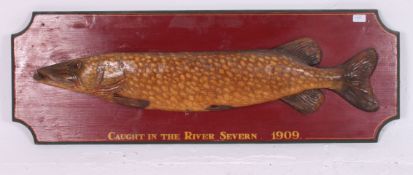 A large wooden faux taxidermy pike mounted onto an oversized wooden painted board with resin set