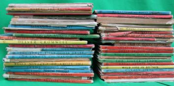 A collection of 30+ vintage Ladybird boo