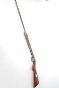 An unusual early 20th century air rifle gun,