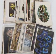 A collection of assorted vintage postcards, topographical,