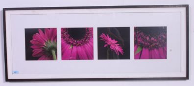 A framed and glazed multi aperture photograph study titled ' Pink Gerberas ' originaly retailed by