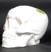 A cast plaster mould study of the human skull. Created by vendors family who handpainted thereafter.