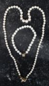 A good quality ladies 9ct gold clasp real pearl necklace.