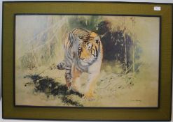 A Large contemporary framed print of a ' tiger emerging from the jungle ' by artist Leonard Peerman