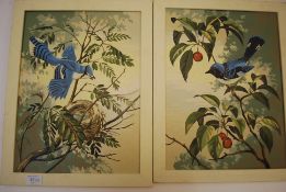 A pair of 1950's oil on board / panels p
