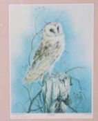 A framed and glazed print of a Barn Owl,