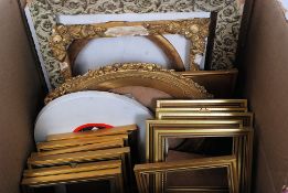 A collection of Gilt picture frames of various sizes and shapes