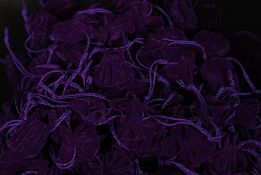 A large collection of new and unused jewellery - ring pouches.