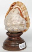 An early 20th century cameo carved conch shell converted to a table lamp - light raised on wooden