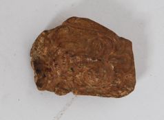 An unusual believed 19th century netsuke