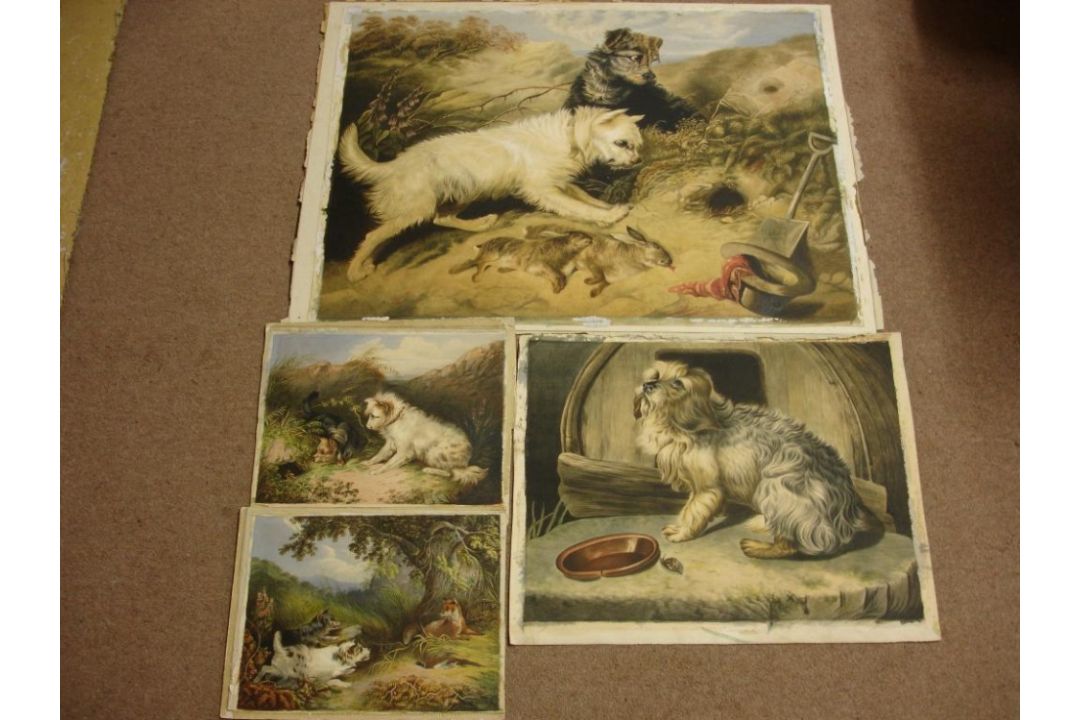 English School Four unframed watercolours of dogs. Various sizes