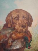 W Marsden Retriever with dead pheasant. Signed. Oil on canvas 20
