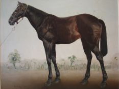 Martin Thompson. Study of a black horse, 