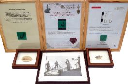 BRONZE AGE HOOKS ETC: Three framed bronze and copper early fishing hooks, each mounted over COA