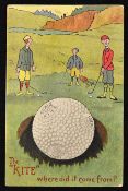 Scarce Springvale bramble golf ball advertising coloured postcard - titled 