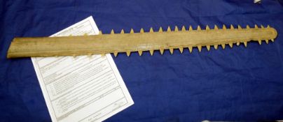 KnifeTooth SawFish Rostrum or blade, 78cm long, 22 teeth on left, 23 teeth right, dates c early