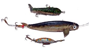 LURES: (2) An early Gutta Percha hard rubber Caledonian bait, 4.5