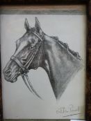 Quantity of pictures to include watercol