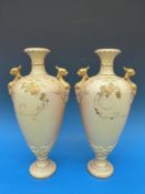 A pair of Royal Worcester blush ivory va