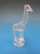 A Lalique model of a giraffe signed to t