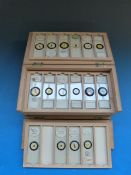 A boxed selection of various microscope