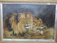 M L Bevan: Oil on canvas of lions, signe