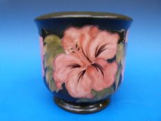 A Moorcroft jardiniere in the Hibiscus p