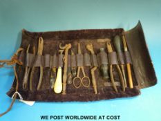 A 19th century roll of dental or field s