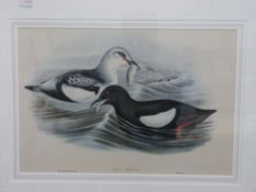 Coloured engraving of a battleship entit