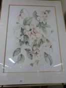 A pair of framed watercolours of flowers