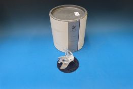 Swarovski Collectors Society 'Amour' the