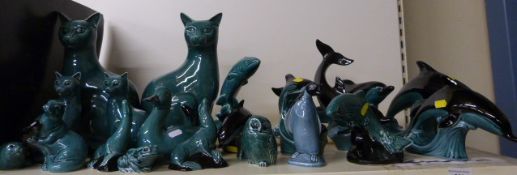 A collection of Poole dolphins, birds an