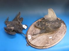 Two unusual spelter hanging game birds