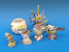 Four various Royal Worcester birds inclu