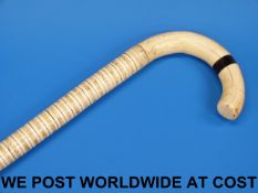 A walking stick made from shark vertebra