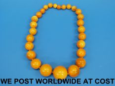 An amber necklace of egg yolk colour, th