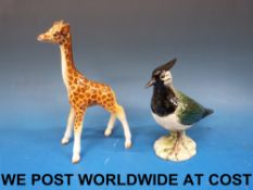 Beswick model of a lapwing and a Beswick