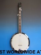 An SX Remo banjo (in soft case)