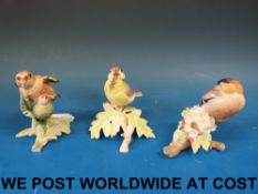 Three Royal Worcester fledgling birds in