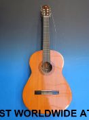 A cased Yamaha acoustic guitar model G13