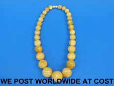 An amber necklace of canary yellow colou