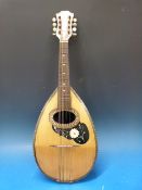 A cased c1900 round backed mandolin with