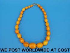 An amber necklace of 26 graduated oval b