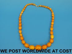 An amber necklace of 41 graduated oval b