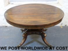 A Regency rosewood circular tilt top bre