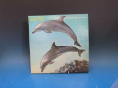 Approximately 100 LPs from the 1960s to