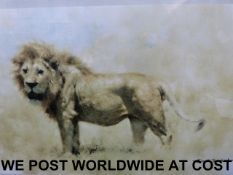 A David Shepherd signed print of a lion,
