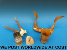 A collection of horn items